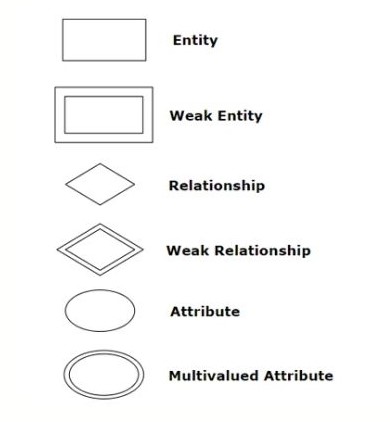 What is an Entity Relationship Diagram and How Do They Work